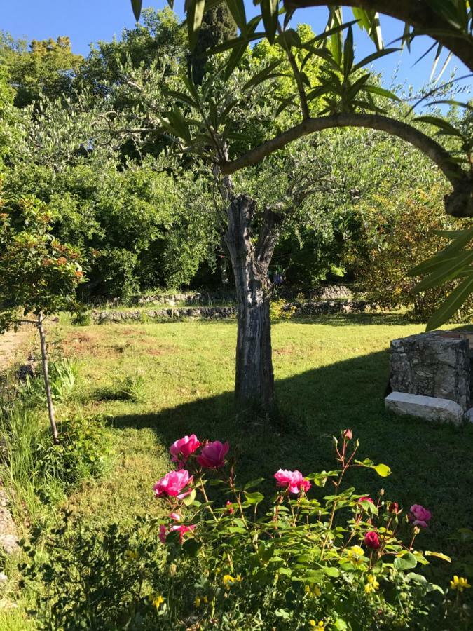 Villa Du Sud ว็องส์ ภายนอก รูปภาพ