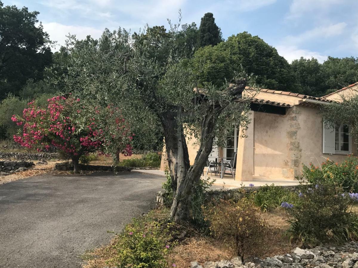 Villa Du Sud ว็องส์ ภายนอก รูปภาพ