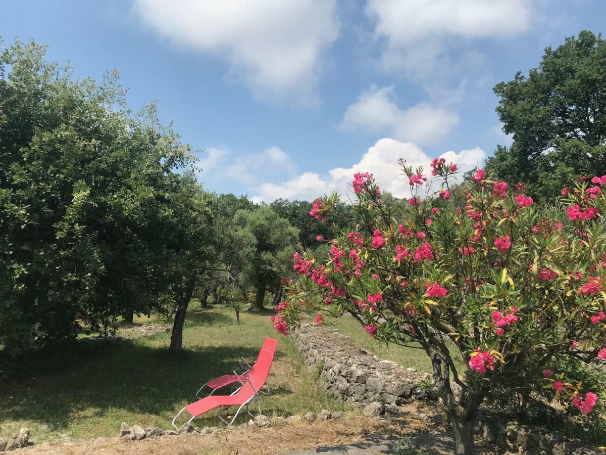 Villa Du Sud ว็องส์ ภายนอก รูปภาพ